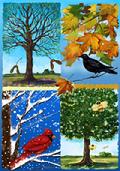 Seasons of a Tree