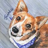 Watercolor Portrait of Welsh Corgi Dog