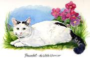Watercolor Memorial Portrait of Cat